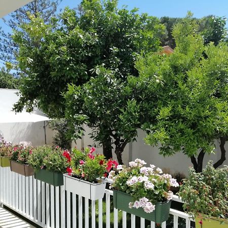 Mondello Beach The House With Green Lawns Βίλα Εξωτερικό φωτογραφία