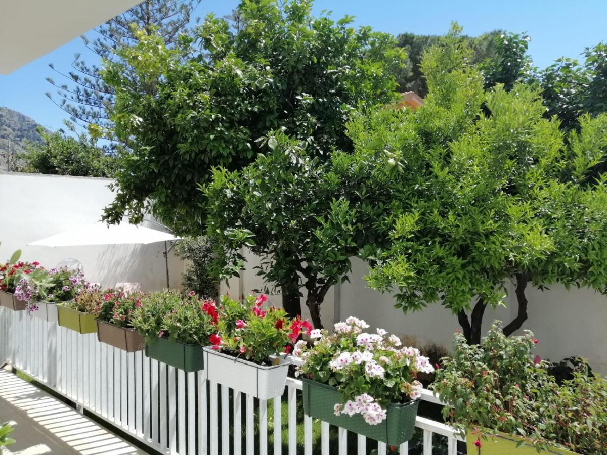 Mondello Beach The House With Green Lawns Βίλα Εξωτερικό φωτογραφία